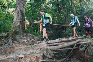 BIB: 
                            <button type="button" onclick="openModal(27305191)" class="btn btn-primary btn-sm float-right btn-popup" data-toggle="modal" data-target=".modal-high-quality">
                        <i class="fas fa-shopping-cart"></i> Add to Cart
                    </button>
                                            <button type="button" onclick="isThisMe(27305191, true)" class="btn btn-success btn-sm float-right btn-popup btn-isme hidden" data-toggle="tooltip" data-placement="bottom" title="นี่คือรูปของคุณใช่ไหม คลิกที่นี่เพื่อเอาเข้าอัลบั้ม">
                        <i class="fas fa-plus"></i> Add to album
                    </button>
                    <button type="button" onclick="isThisMe(27305191, false)" class="btn btn-warning btn-sm float-right btn-popup btn-isnotme hidden">
                        <i class="fas fa-ban"></i> Remove from album
                    </button>